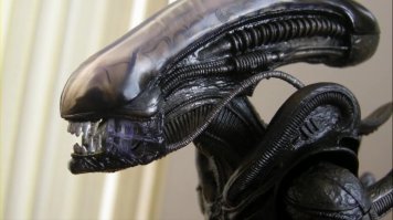 Им понравится.