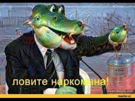 Предупрежден - значит вооружен
