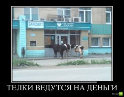 История про Сбербанк