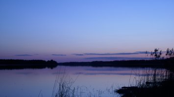 Jon Siegel / «Night»
