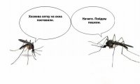 Москитная сетка своими руками