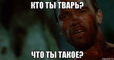 Новый дизайн автобуса в Петербурге