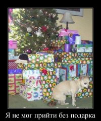 Самые смешные и нелепые рождественские подарки из всех, что вы когда-либо видели