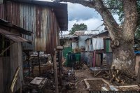 Эти фотографии мне напомнили недавнее видео про собаку со щенками очень уж похожи.