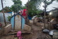 Эти фотографии мне напомнили недавнее видео про собаку со щенками очень уж похожи.