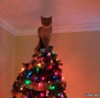 С Наступающим!