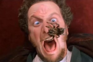 Паук серебрянка