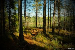 Природа - ты божественна