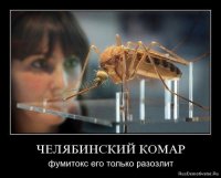 Москитная сетка своими руками