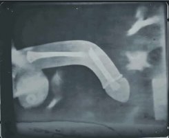 Додуматься до такого: