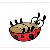 В Орле сняли на видео валяющихся в снегу пьяных коммунальщиков 