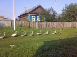 И ни чуть не хуже ваших сраных Гоа