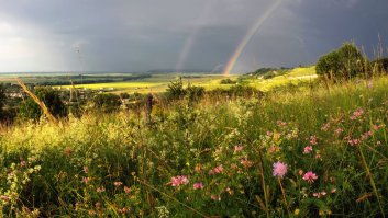 И ни чуть не хуже ваших сраных Гоа