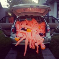 Свежая подборка авто приколов 