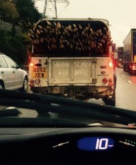 Свежая подборка авто приколов 