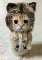 Люди в позитивных шапках, спасибо, что поднимаете настроение зимой!