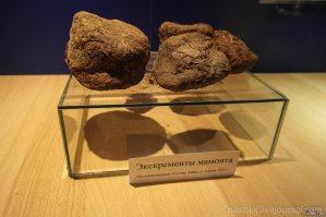 Самые дорогие бытовые предметы