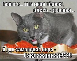 Подстава для Петровича