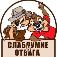 В Австралии собака решила поиграть с тигровой акулой