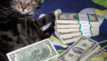 не такая уж и редкая)))
особенно для моего кота