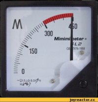 Котик терпеливо ждёт, пока хозяин очищает его место