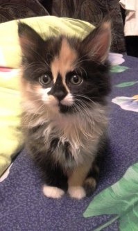 тоже поучаствую 
угадайте кто на финальной фото