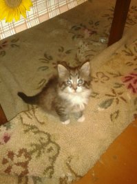 тоже поучаствую 
угадайте кто на финальной фото