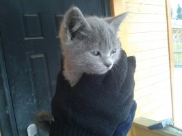 тоже поучаствую 
угадайте кто на финальной фото