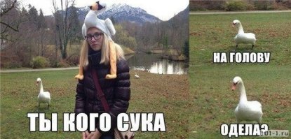 Люди в позитивных шапках, спасибо, что поднимаете настроение зимой!