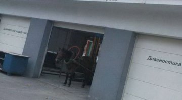 Фото и видео, сделанные в нужный момент