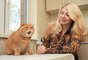  Девушки и кошки