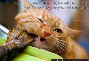 Подстава для Петровича