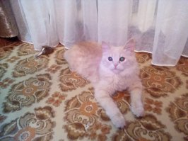 на мою похожа