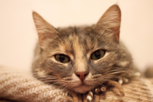 Депрессии нет, но фото часто делаю в ч/б. 
Т.к. ч/б передает более точную картинку.