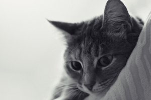 Депрессии нет, но фото часто делаю в ч/б. 
Т.к. ч/б передает более точную картинку.