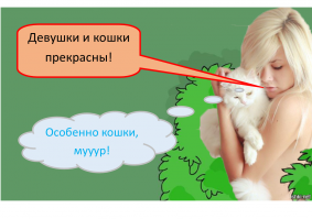  Девушки и кошки