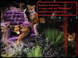 Сказочные витрины ЦУМа