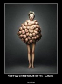 В чем встретить Новый год и Рождество