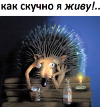 24 фотографии ёжиков,от которых ваш мимиметр лопнет!