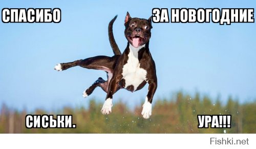Прыгающие груди