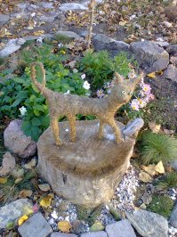 Очень колоритные уличные коты