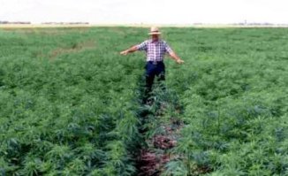 На Руси умели веревки вить, а в России только курить - на хрен работать.