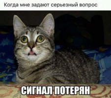 Подборка креативных фотографий