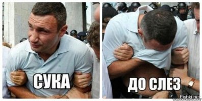 На них смотрят миллионы, их слушают тысячи, но иногда они несут ужасную чушь