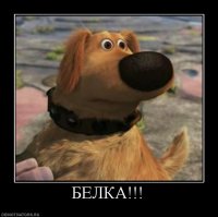 Японские летяги - самые очаровательные существа на Земле!