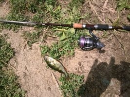 день рыбака в этом году