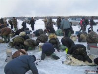 Немного прикольных картинок из сети