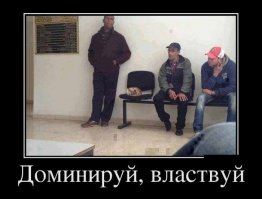 Каким же дерзким должен быть кот, что его боится согнать с кресла даже Джейсон Стэтхем?