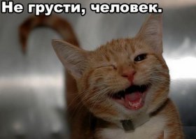 Сказал шерстяной пи3@юк, который в жизни только ест, играет и спит :)
Всех с праздником!