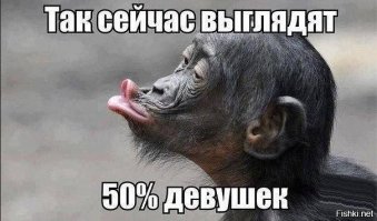 Merry Christmas, мистер Тигр! Как жители зоопарков открывали подарки